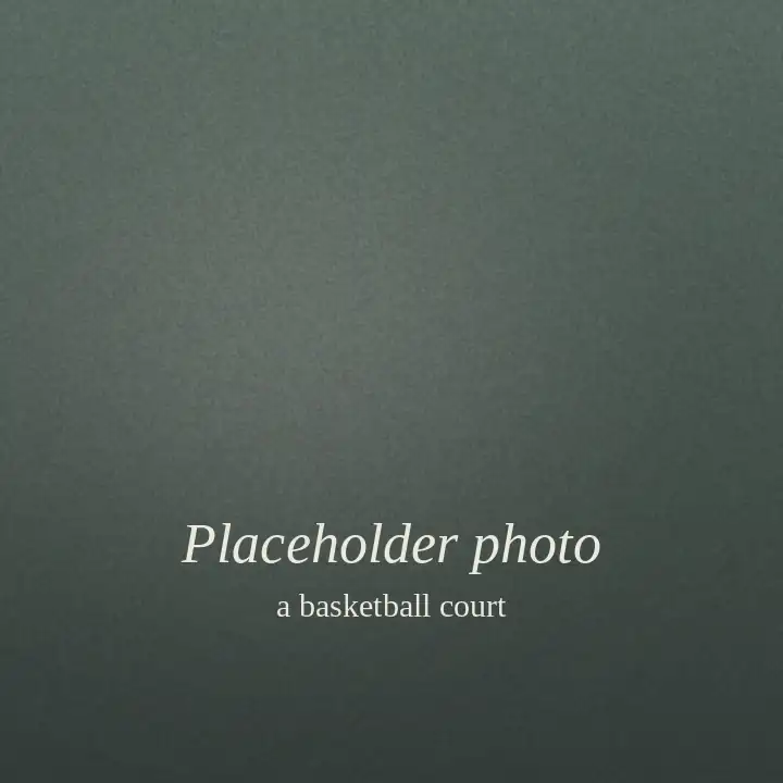 Placeholder: a plain green-grey square standing in for a photo of a basketball court.