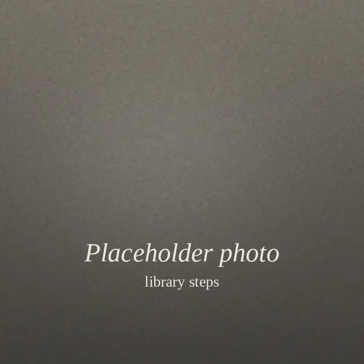 Placeholder: a plain stone-grey square standing in for a photo of library steps.